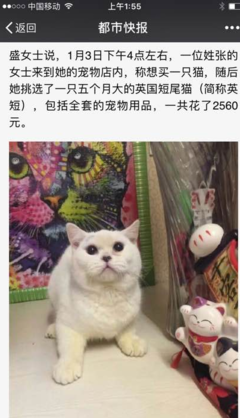 一紙協(xié)議與一段生命 寵物棄養(yǎng)背后的責(zé)任缺失與消費(fèi)反思