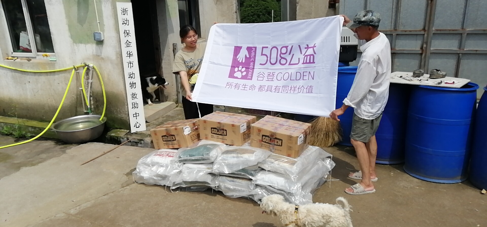 攜手公益，溫暖同行——金華錦安寵物用品攜谷登50g助力動物救助