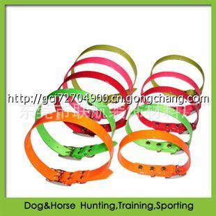 高檔時(shí)尚寵物用品的市場(chǎng)機(jī)遇與銷售策略