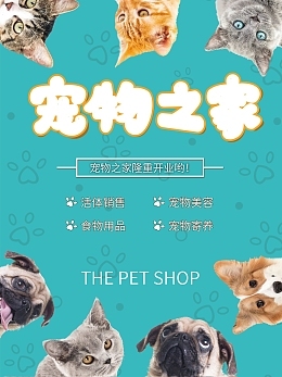 寵物用品銷售中的食物分解模板在線制作 創(chuàng)新工具助力營銷增長