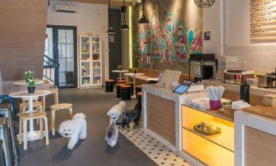 寵物店利潤分析 寵物用品銷售的盈利空間與前景