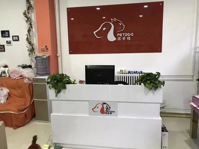 寵物連鎖店的利潤核心 解讀寵物用品銷售背后的商業邏輯